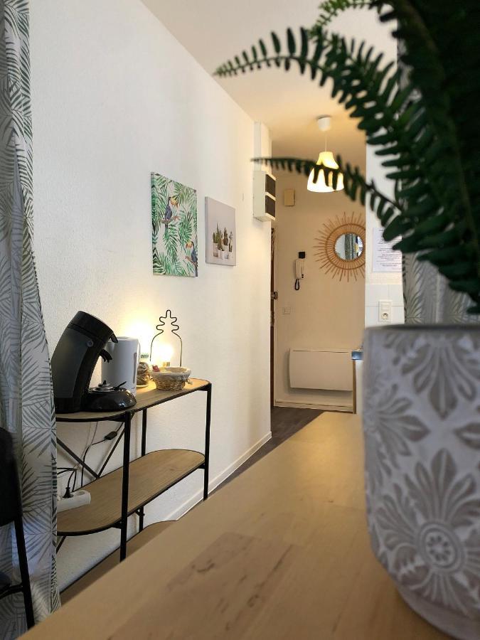 Equateur-Centre Jaude Leilighet Clermont-Ferrand Eksteriør bilde